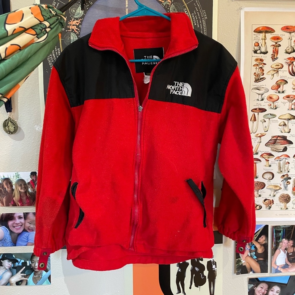 North face jacket (GORE-TEX)